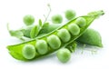 Open pea pod. Royalty Free Stock Photo