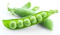 Open pea pod. Royalty Free Stock Photo