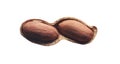 Open peanut shell with two kernels Royalty Free Stock Photo