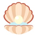 Open pearl shell flat illustration on white