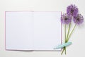 Open pink notebook paper with blank pages and pen in the form of a feather. Royalty Free Stock Photo