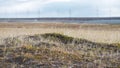 Open plain covered in small grass, soft moss, lichens. Video. Rocky stones on the grass in hill. Beautiful landscape