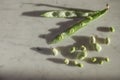 Open pod of broad beans and scattered beans on marble surface Royalty Free Stock Photo