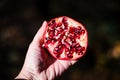 Open pomegranate in a hand