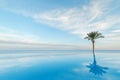 Open pool on the shores of the exotic ocean and the reflection of palm trees in the water. summer landscape. panoramic picture Royalty Free Stock Photo