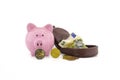 Open purse with banknotes, coins and piggy bank Royalty Free Stock Photo