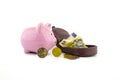 Open purse with banknotes, coins and piggy bank Royalty Free Stock Photo