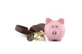 Open purse with banknotes, coins and piggy bank Royalty Free Stock Photo