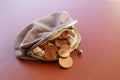 Open purse with euro cent coins Royalty Free Stock Photo