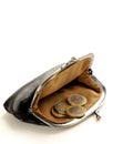 Open purse with euro coins Royalty Free Stock Photo