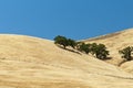 Open range grassy hillside