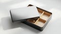 Open Rectangular Tin Box with Compartments Royalty Free Stock Photo
