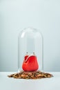 Open Red Coin Purse in glass dome on a pile of Euro coins on blue background Royalty Free Stock Photo