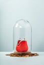 Open Red Coin Purse in glass dome with wooden tray on a pile of Euro coins Royalty Free Stock Photo