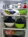 Open refrigerator shelves are stocked with groceries and fruits