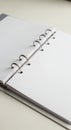 An open ring binder with white pages, set on a light surface. Five silver-colored metal Royalty Free Stock Photo