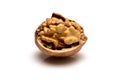 Open ripe walnut with full kernel, close up macro, isolated on a white background. Royalty Free Stock Photo