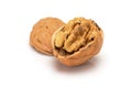 Open ripe walnut, with kernel and shell, close up macro, isolated on a white background. Royalty Free Stock Photo