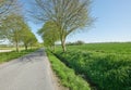 Open road near beautiful bright green grass land and trees on a summer day. The vibrant landscape of an asphalt roadway Royalty Free Stock Photo