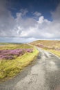 Open Road on Waternish Royalty Free Stock Photo
