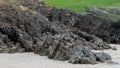 Open rocks on sandy soil. Green grass in the background Royalty Free Stock Photo