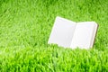 Open ruled paper notebook on green grass field,Eco Business concept