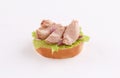Open sandwich appetizer with tuna topping