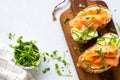 Open sandwich with cream cheese, salmon and cucumber. Royalty Free Stock Photo