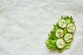 Open sandwich on a sheet of green fleece with cucumber and flax seed on wafer bread on a light paper background Royalty Free Stock Photo