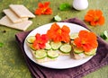 Open sandwiches with crisp bread, butter, fresh cucumber slices and nasturtium flowers on a white plate on an olive concrete Royalty Free Stock Photo