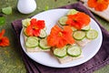 Open sandwiches with crisp bread, butter, fresh cucumber slices and nasturtium flowers on a white plate on an olive concrete Royalty Free Stock Photo