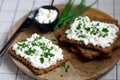 Open sandwiches with rye bread and white cottage cheese with green onions. Healthy breakfast or snack Royalty Free Stock Photo