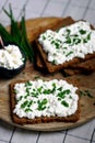 Open sandwiches with rye bread and white cottage cheese with green onions. Healthy breakfast or snack Royalty Free Stock Photo