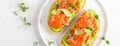 Open sandwiches with salted salmon, guacamole avocado and microgreens. Banner.