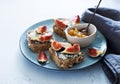 Open sandwiches with soft cheese and figs Royalty Free Stock Photo