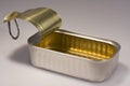 Open Sardine Can Royalty Free Stock Photo
