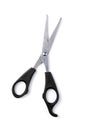 Open scissors