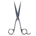 Open Metal Pair of Scissors