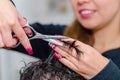 Open scissors ready to cut a man hair, black color and wet Royalty Free Stock Photo