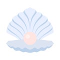 Open Seashell Icon