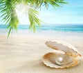 Pearl in an open shell. Sandy tropical beach. Royalty Free Stock Photo