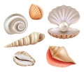 Open seashells. Luxury pearls and marine objects from sea or ocean vector realistic set Royalty Free Stock Photo