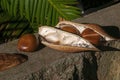 Open seed pod of a moreton bay chestnut