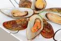 Open Shell Grilled Mussels