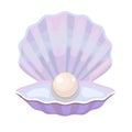 Open shell with pearl. Mother of pearl sea oyster with bright expensive decoration precious gemstone.