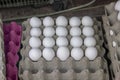 Open shot of batch photo of eggs on cardboard