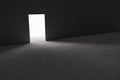 Open single door in dark.3d rendering