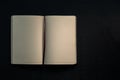 Open sketchbook on a black background. Blank sheets Royalty Free Stock Photo
