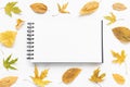 Open sketchbook or notebook and yellow fall leaves