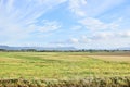 Open space flatlands fields agriculture blue skies clouds awesome Royalty Free Stock Photo